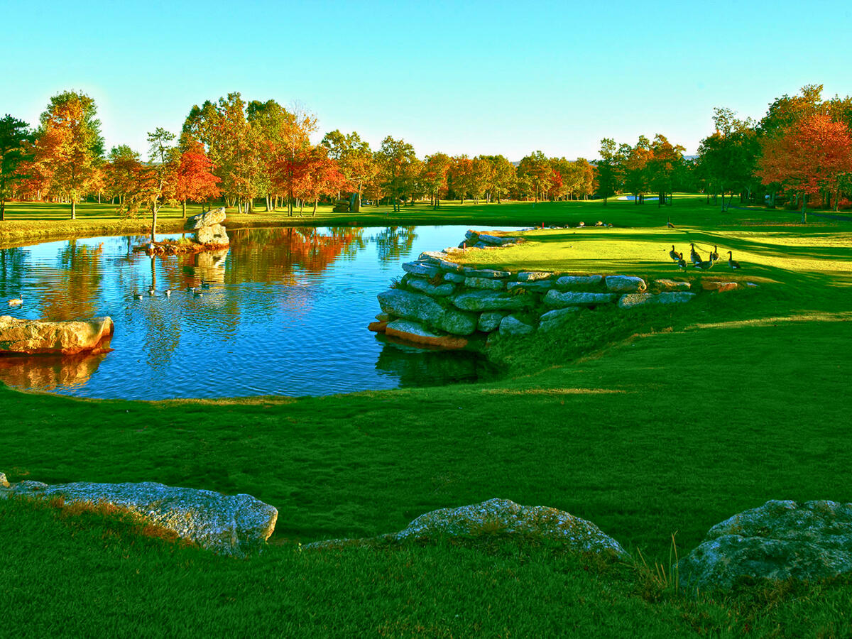 Ponds Across The Resort Ponds Across The Resort