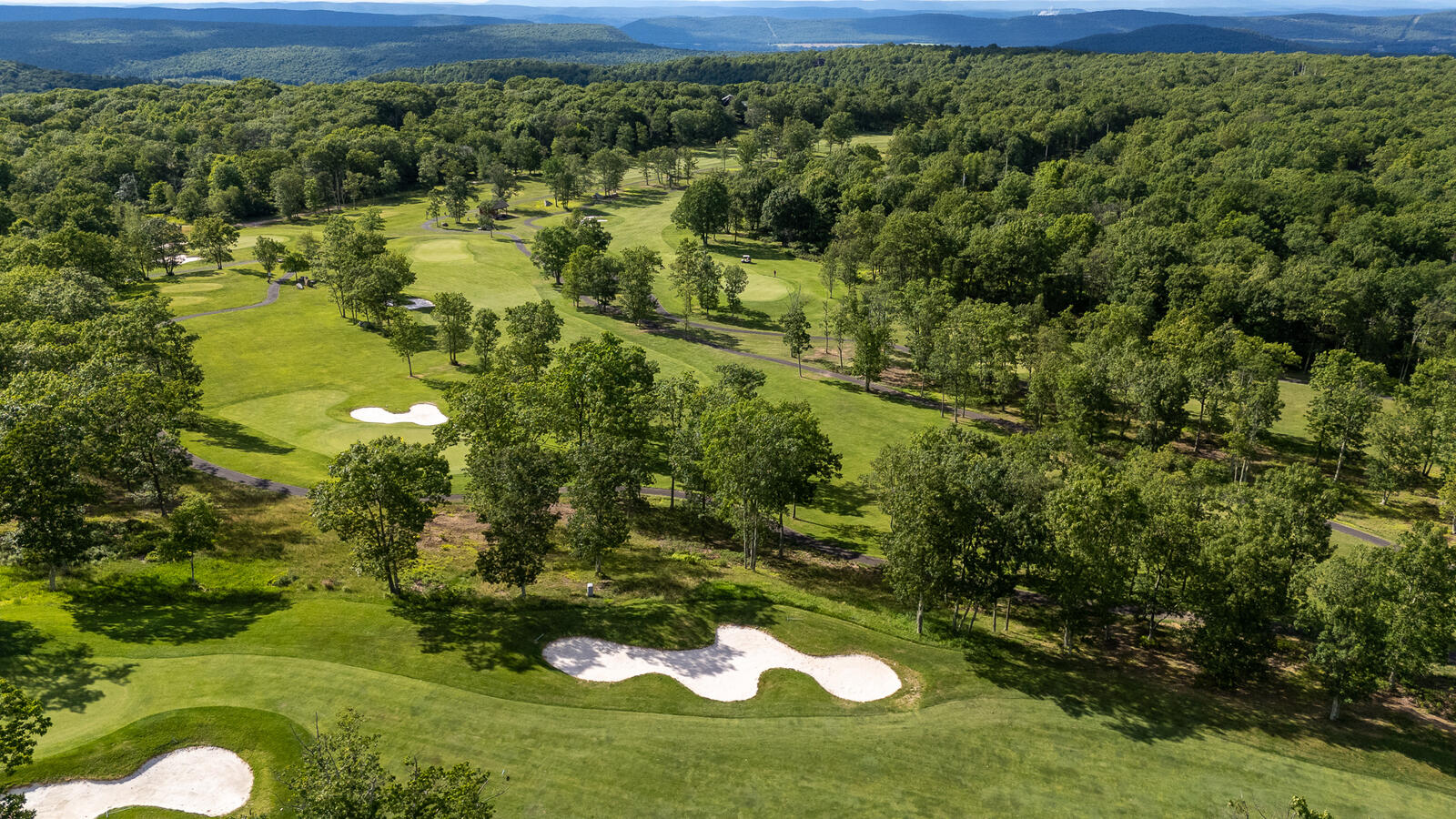 Enjoy Some Golf Enjoy Some Golf